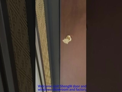 Puerta delantera giratoria de aluminio