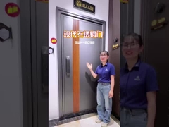 ShengW nuevo artículo puerta de aluminio